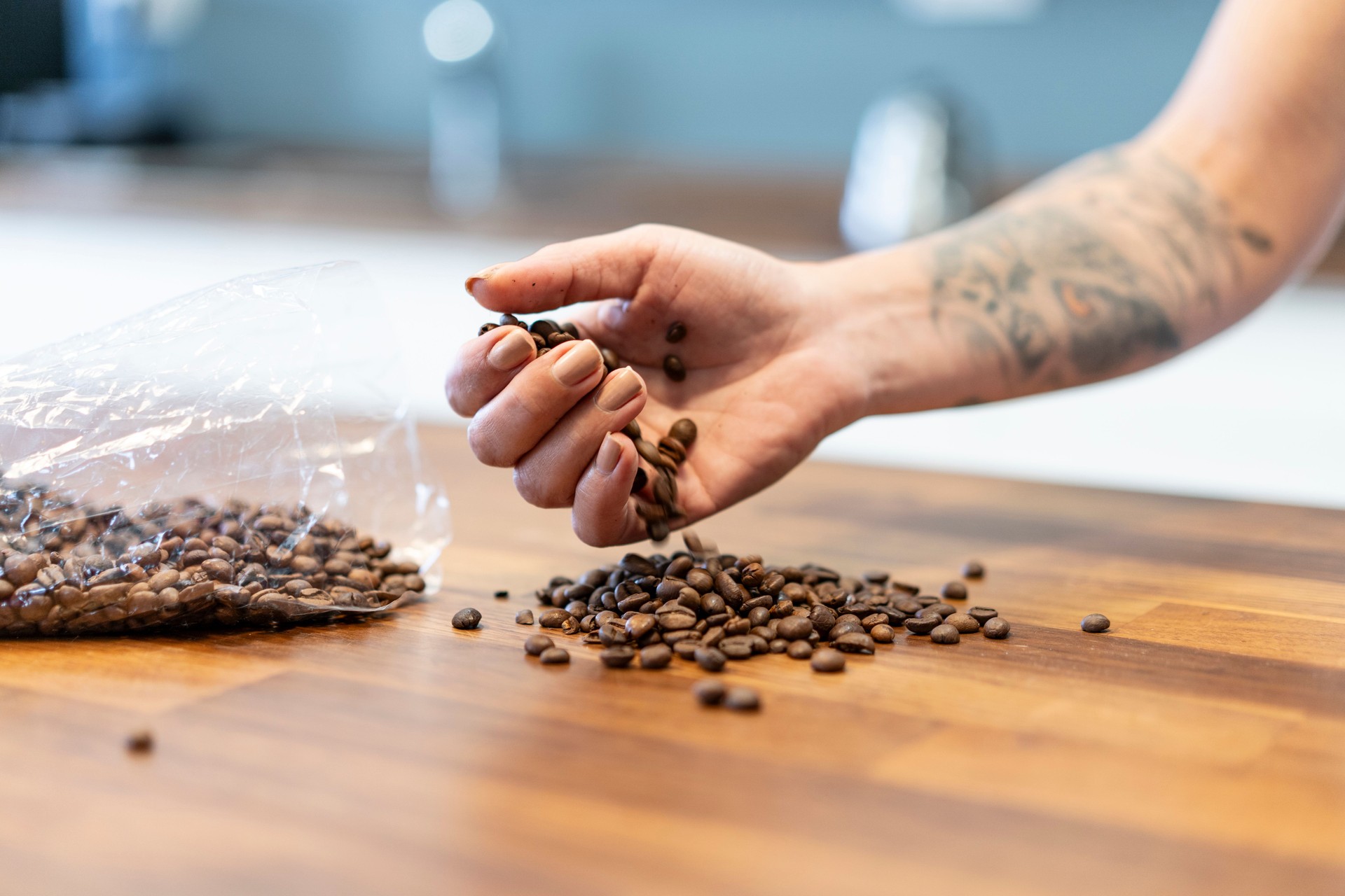 Human hand holding coffee beans