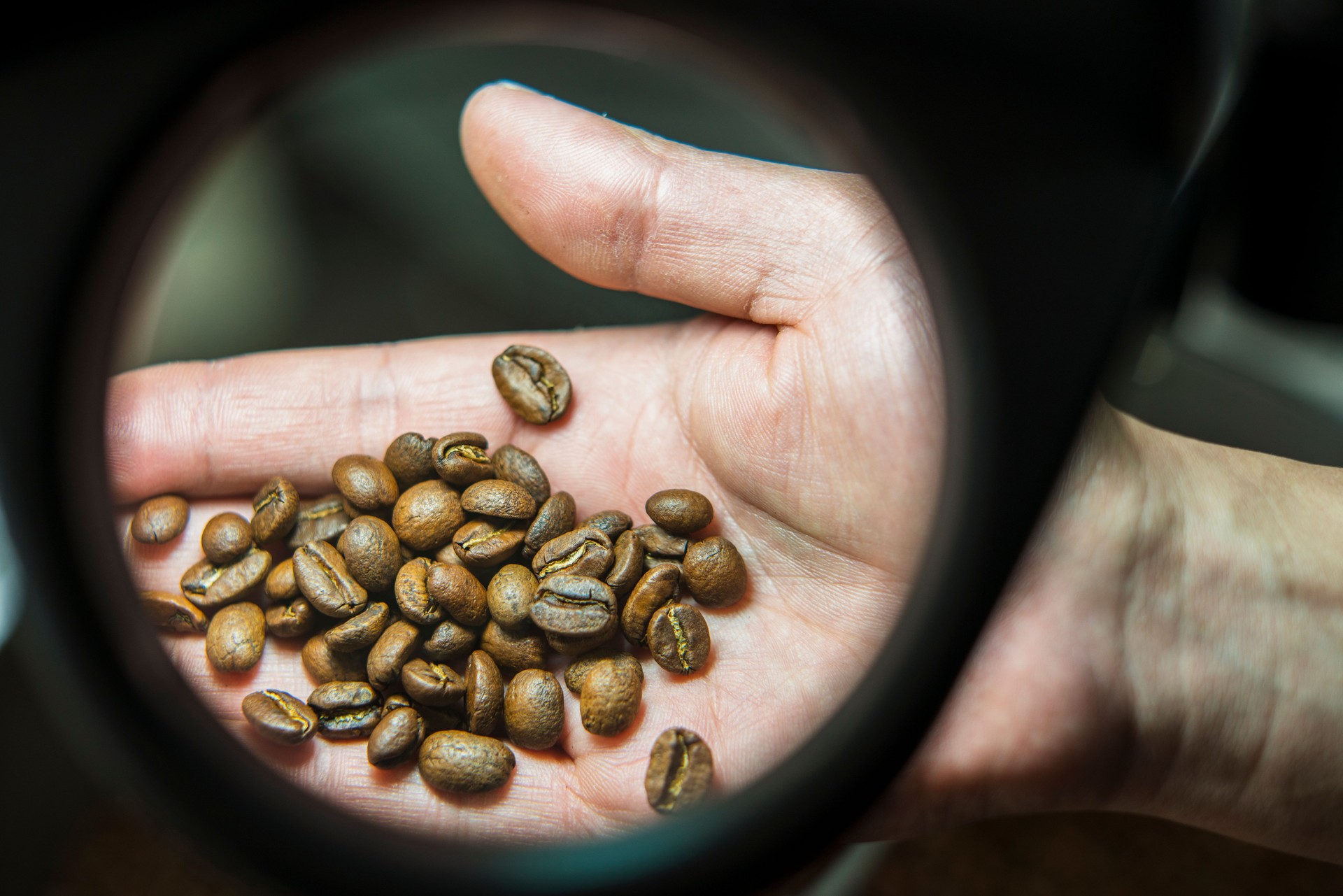 employee of a coffee factory is standing next to the industrial roaster machine